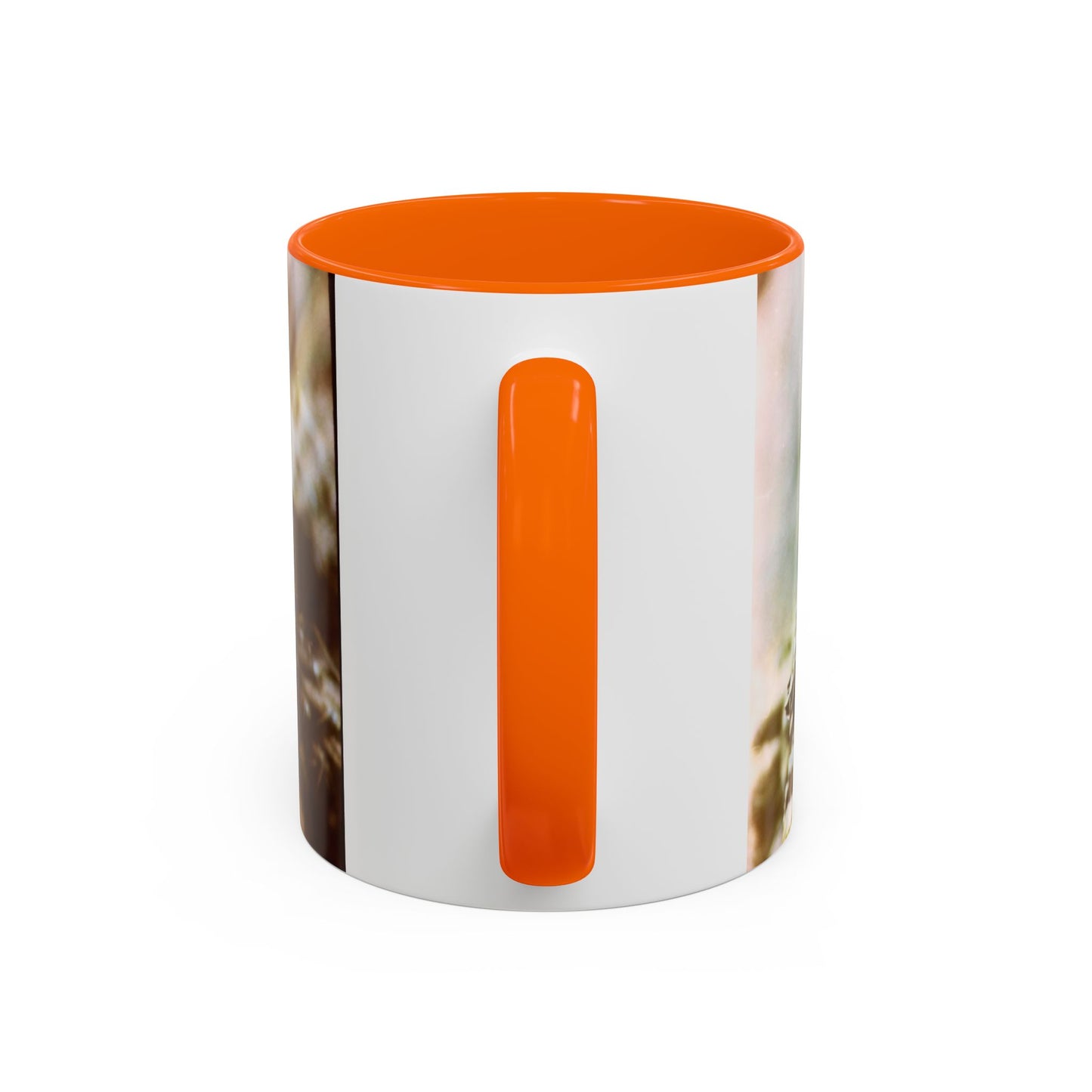 Accent Coffee Mug, 11oz