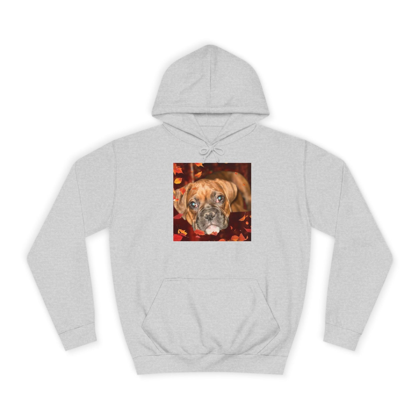 Unisex College Hoodie