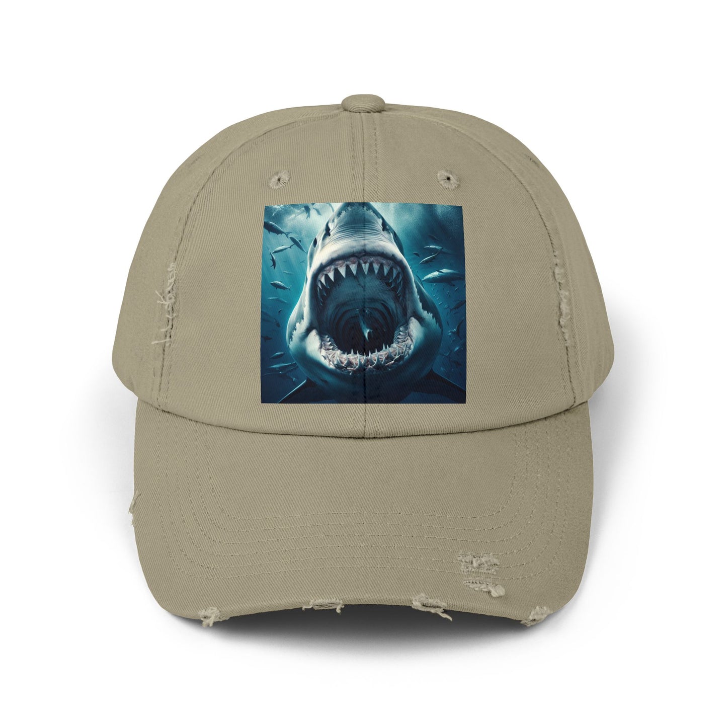 Unisex Distressed Cap